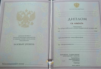 Диплом Колледжа технологий и управления № 51 2003-2006 годов